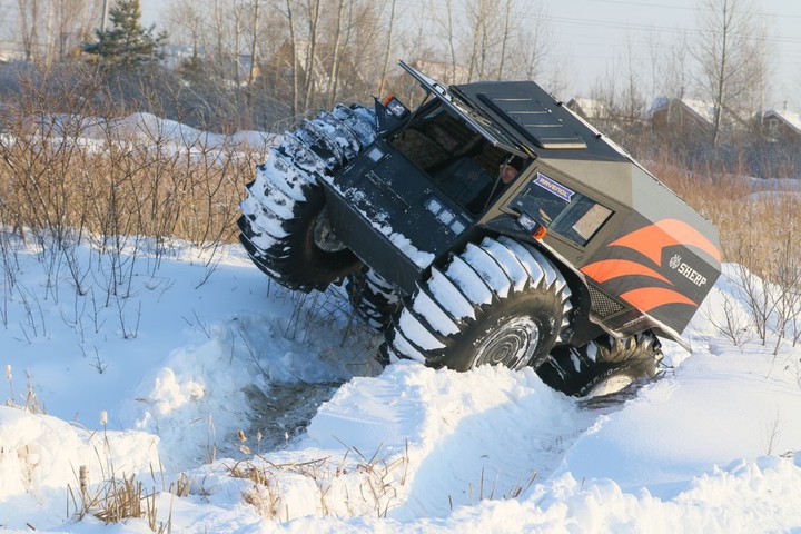 sherp