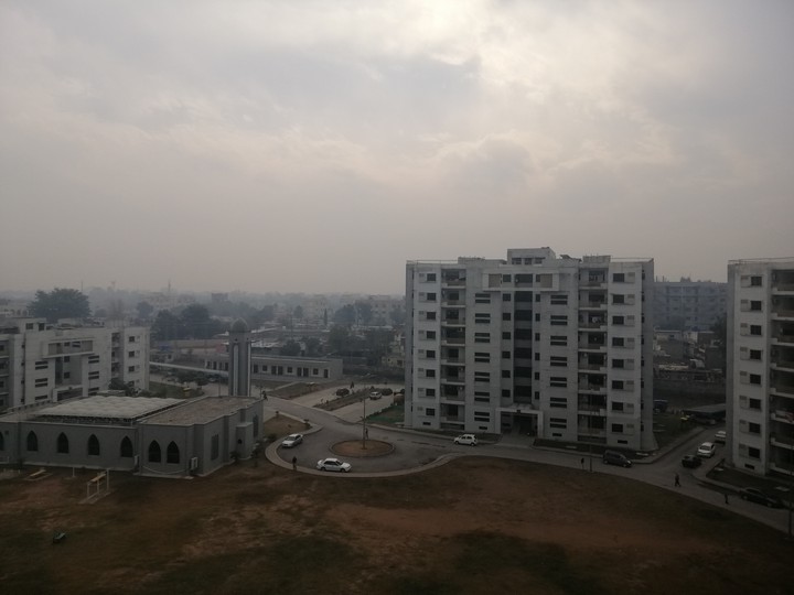 view