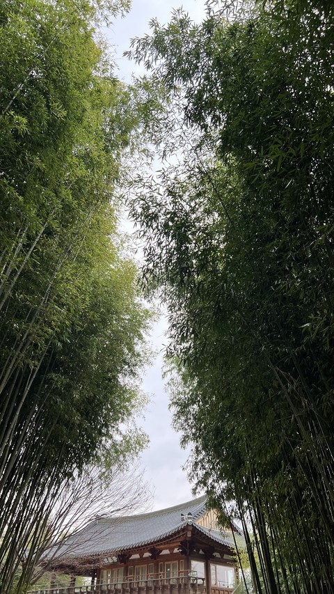 twig, Building wallpapers