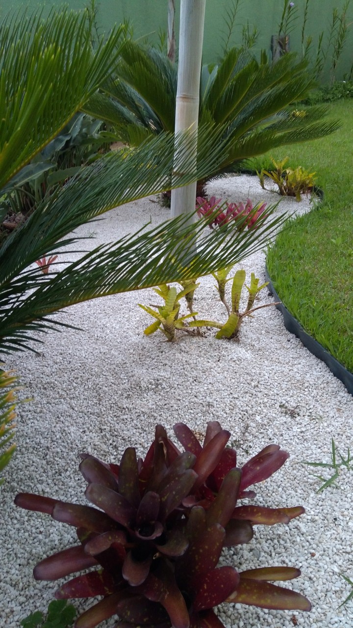 jardim dos sonhos