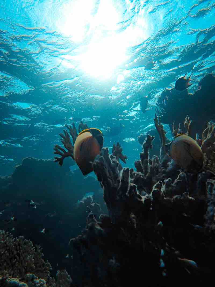 under water