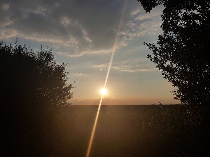 Norfolk sun