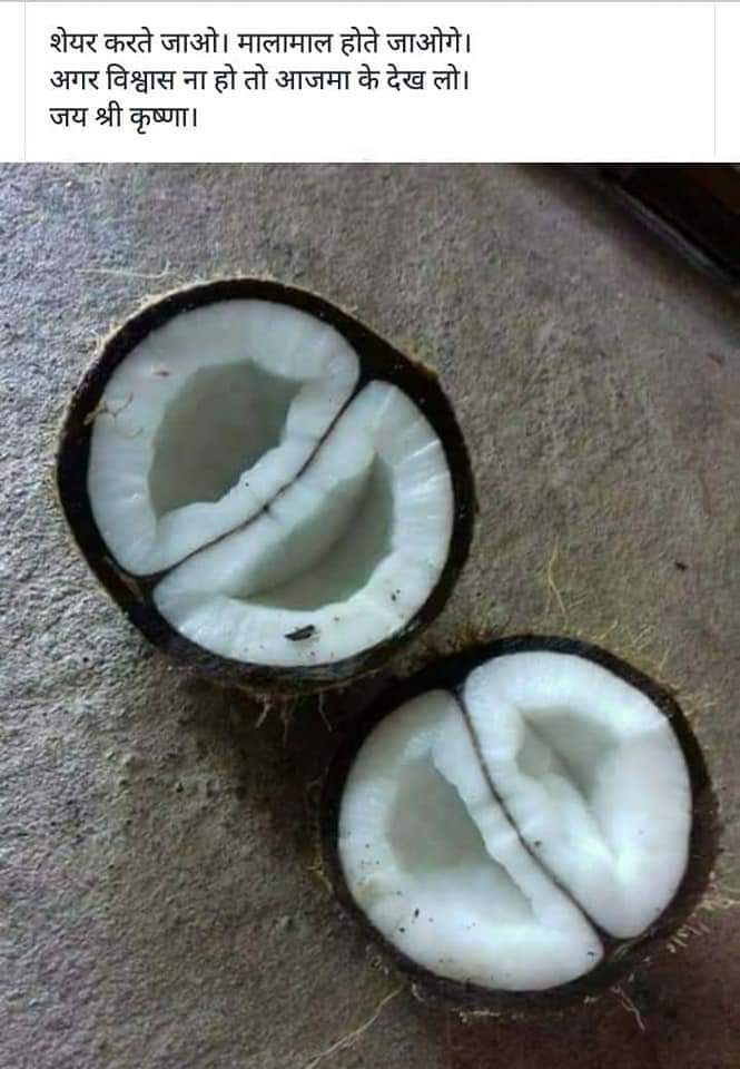 coconet