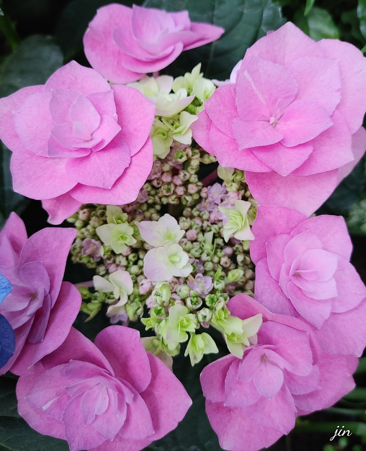 .