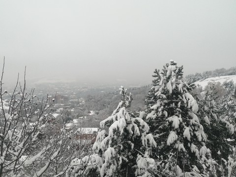 fonds d'écran black-and-white, freezing