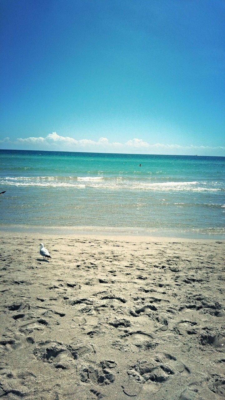 Beach Dream
