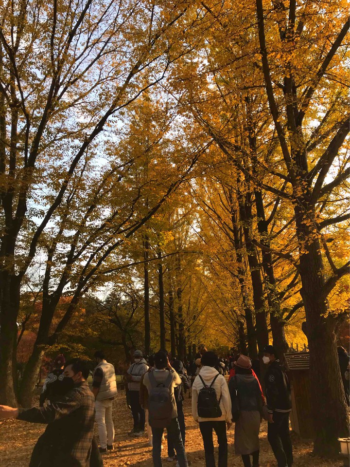 Nami island
