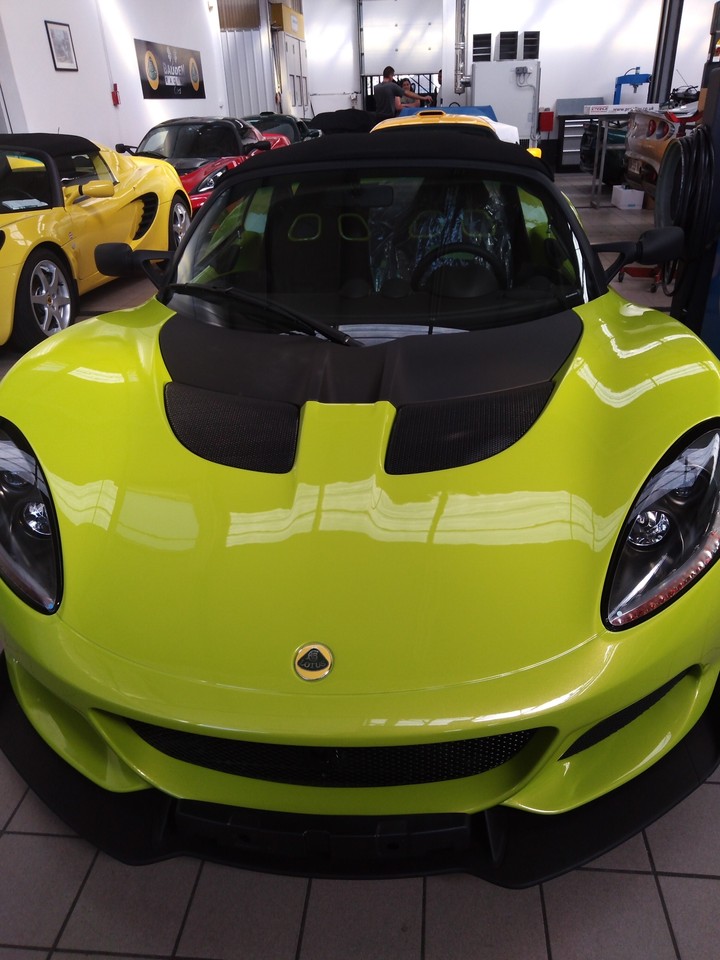 lotus