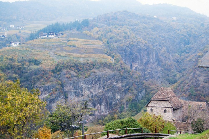 Ronkolo