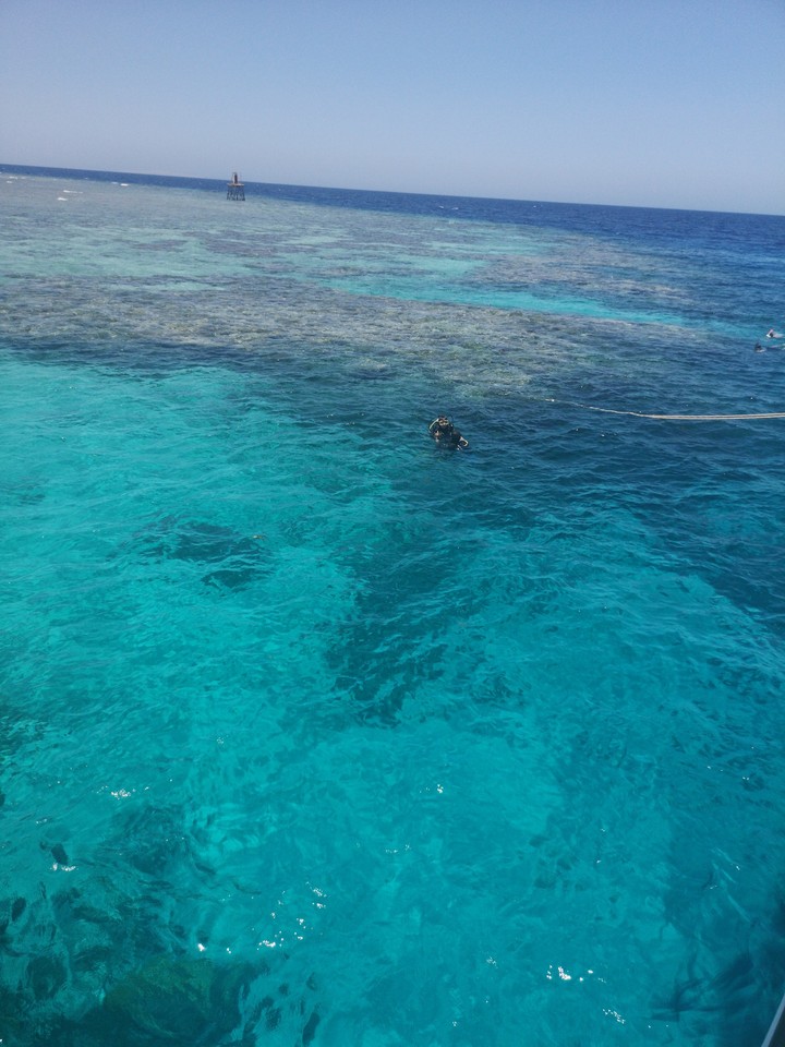 scuba diving at the coral reef in egypt