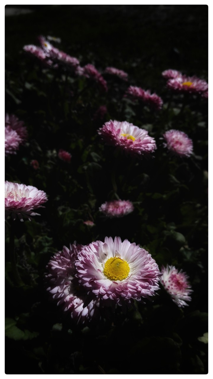 travell & capture the beauty