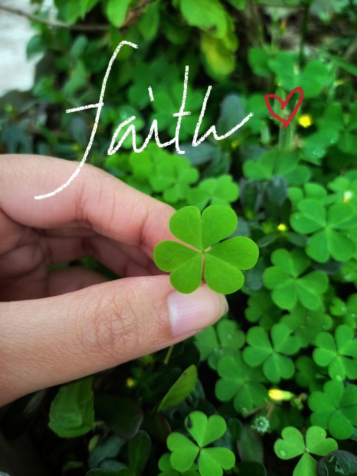 faith