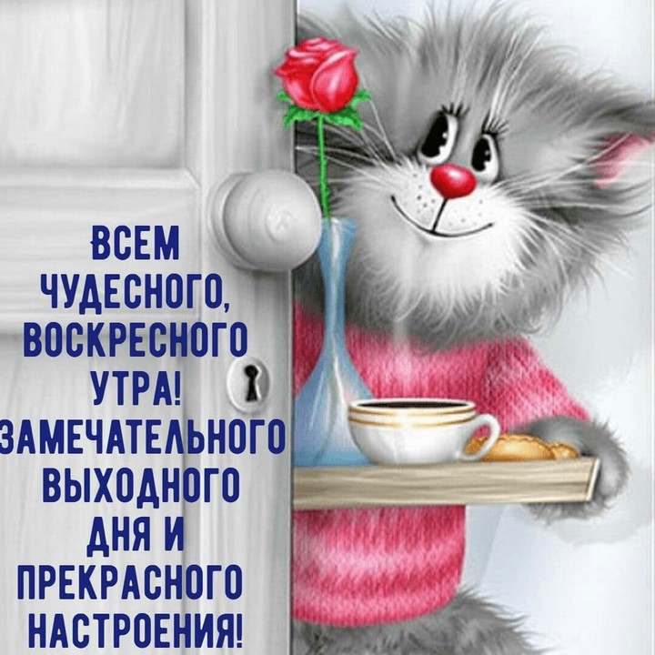всем чудесного утра воскресного