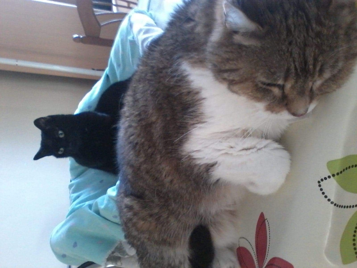 Jenny 2006-2020.    Océan 1998-2013