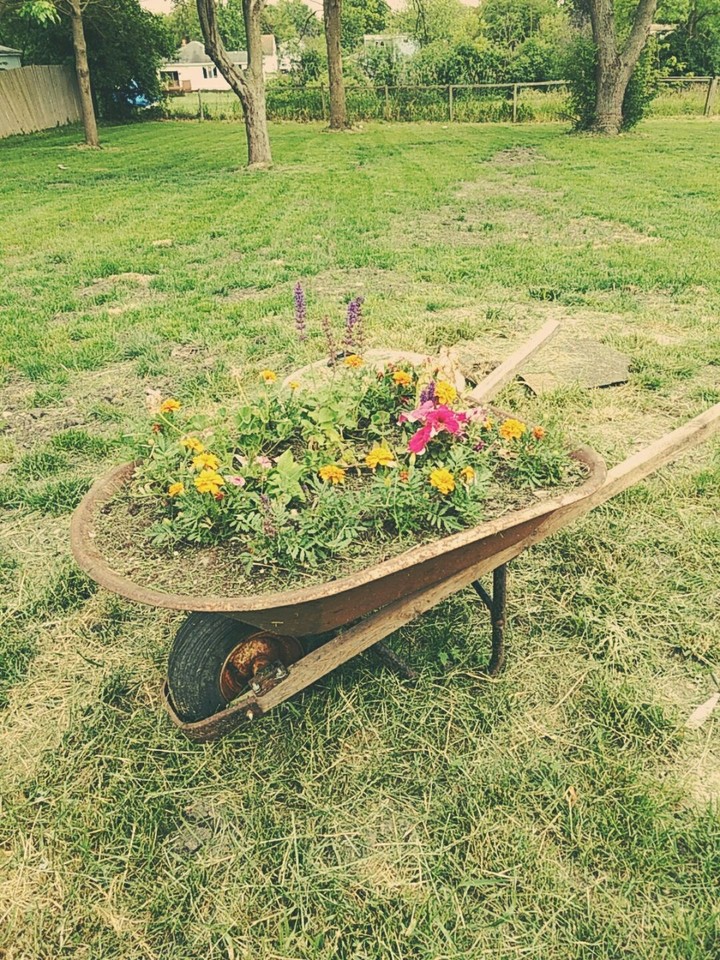 flower pot