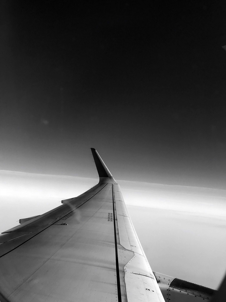 wing