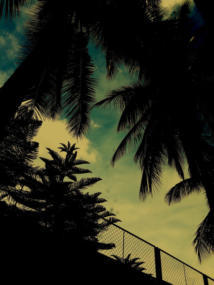 #photography