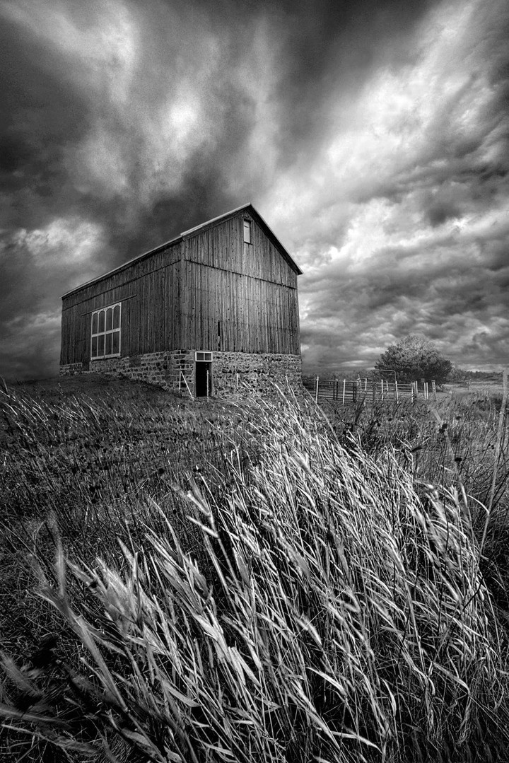 Grayscale