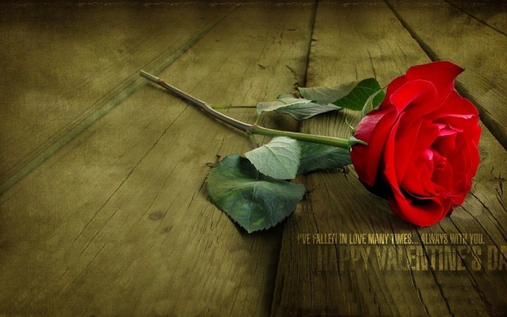 love rose