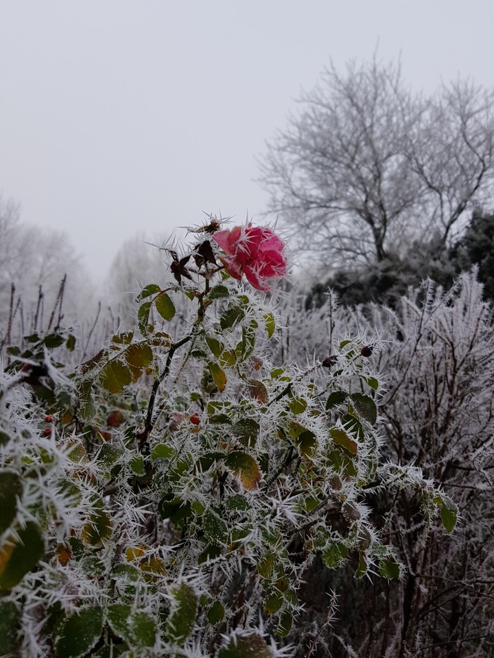 winter
