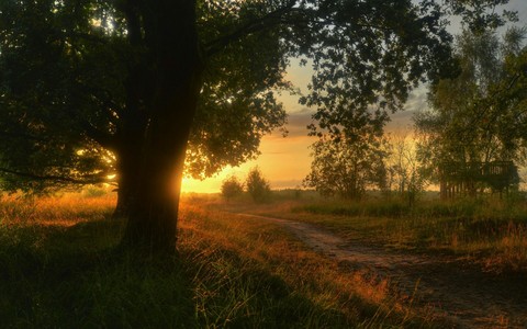 nature