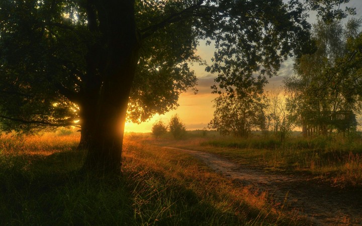 nature
