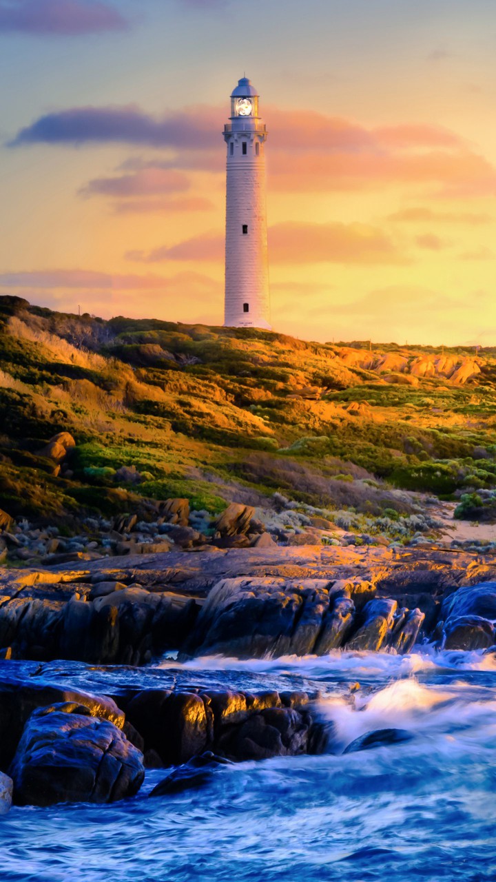 see the world.