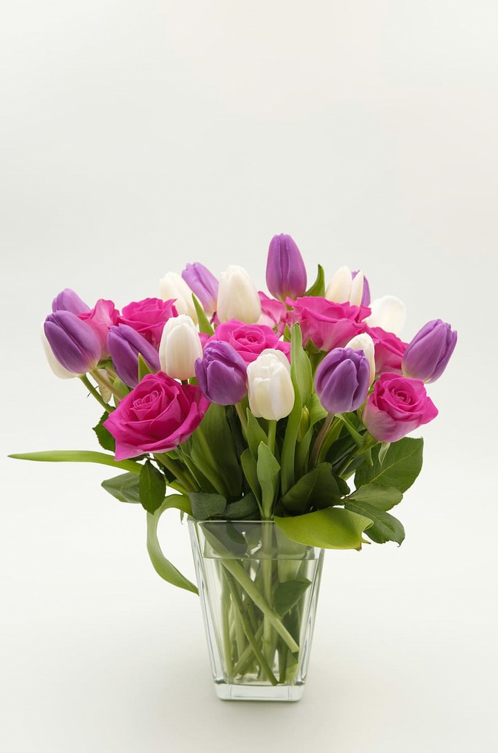 Tulips