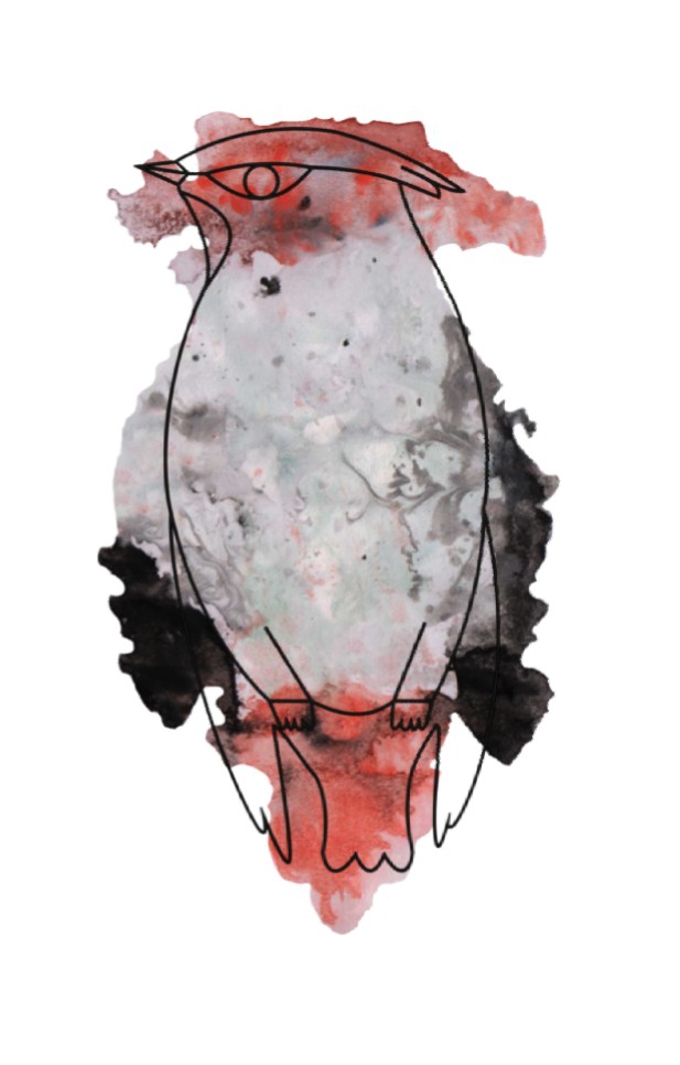 Bird