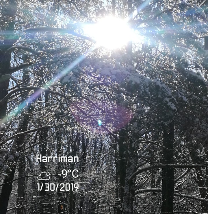 winter season