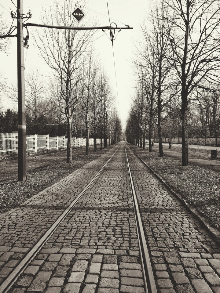 Track