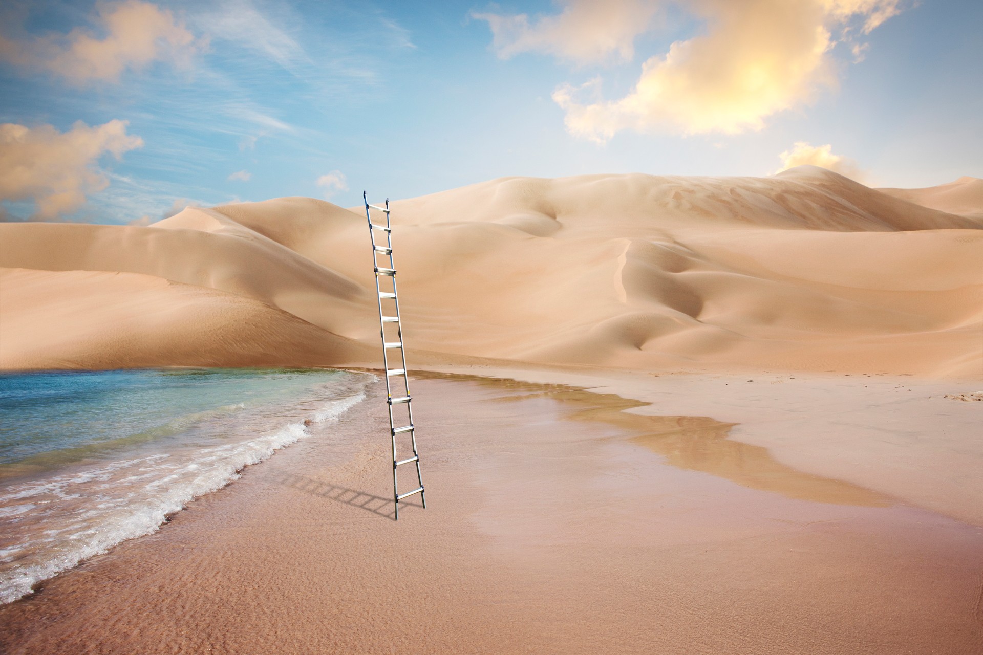 Desert and ladder