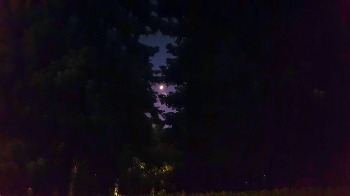 moon