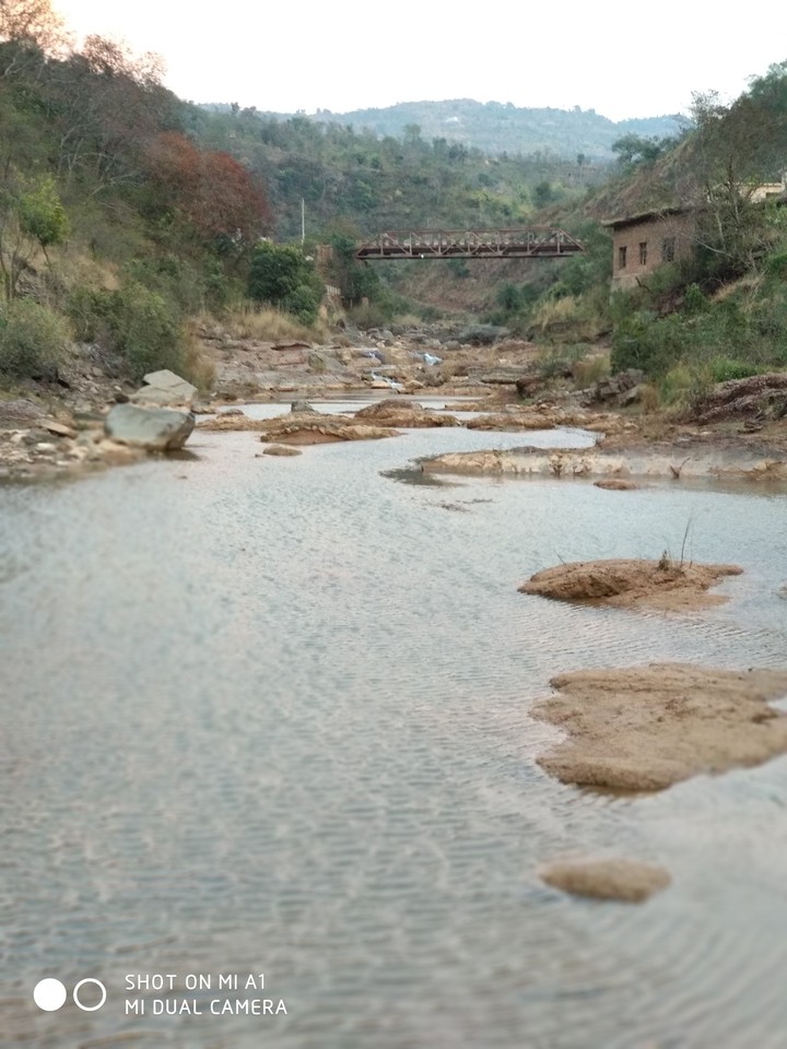 bridge