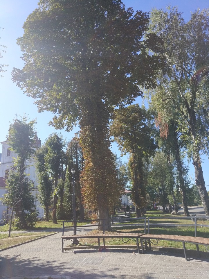 autumn in the pary