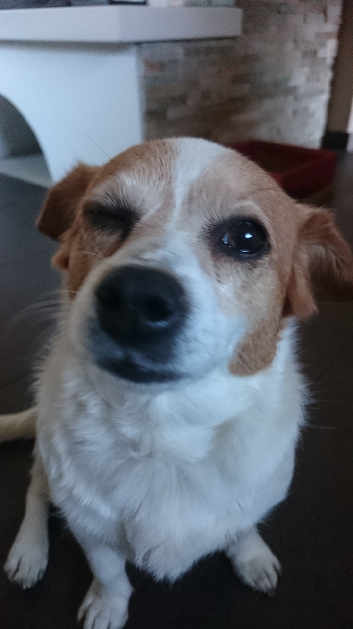 #