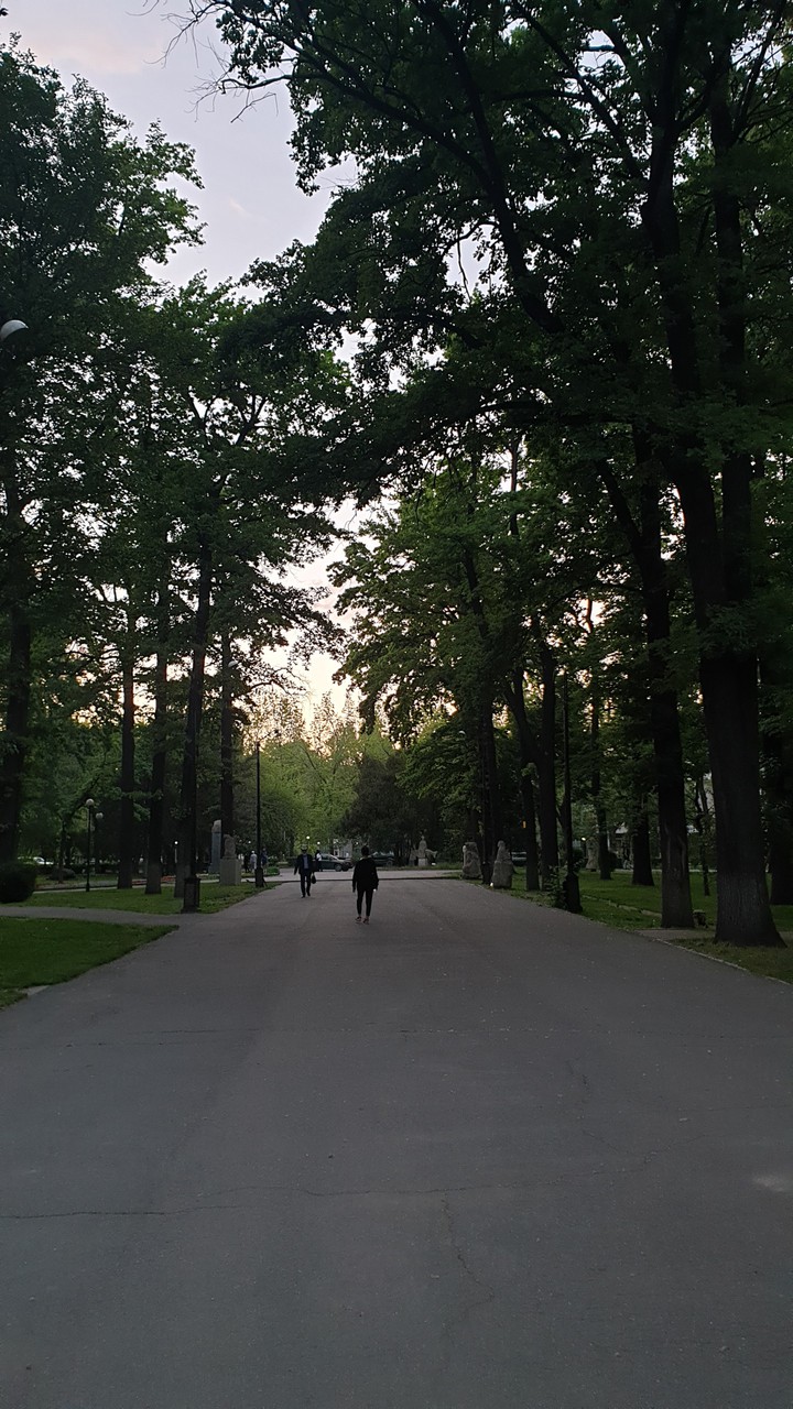 Park