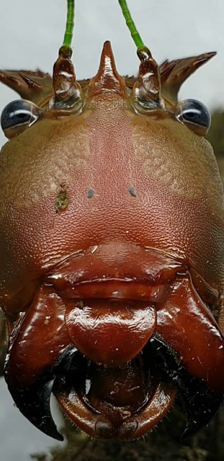 ?