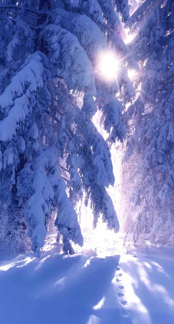 зима wallpapers