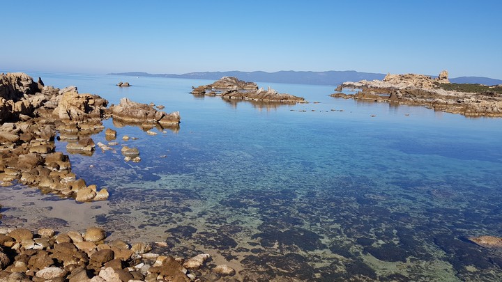 Corse