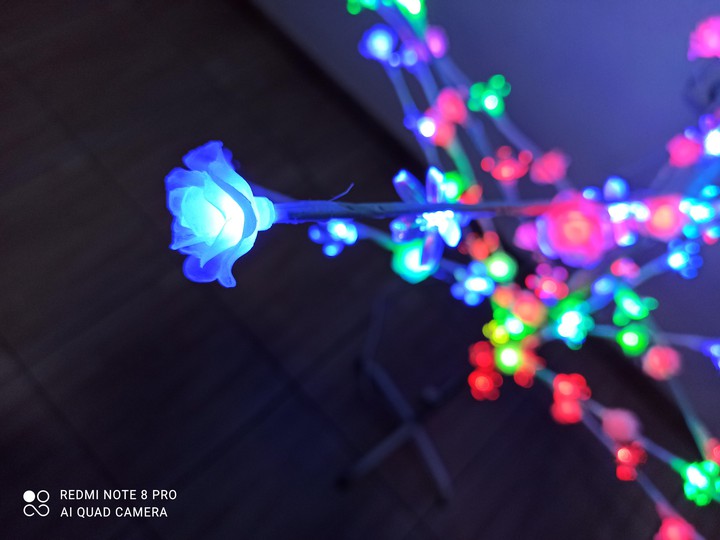 rose