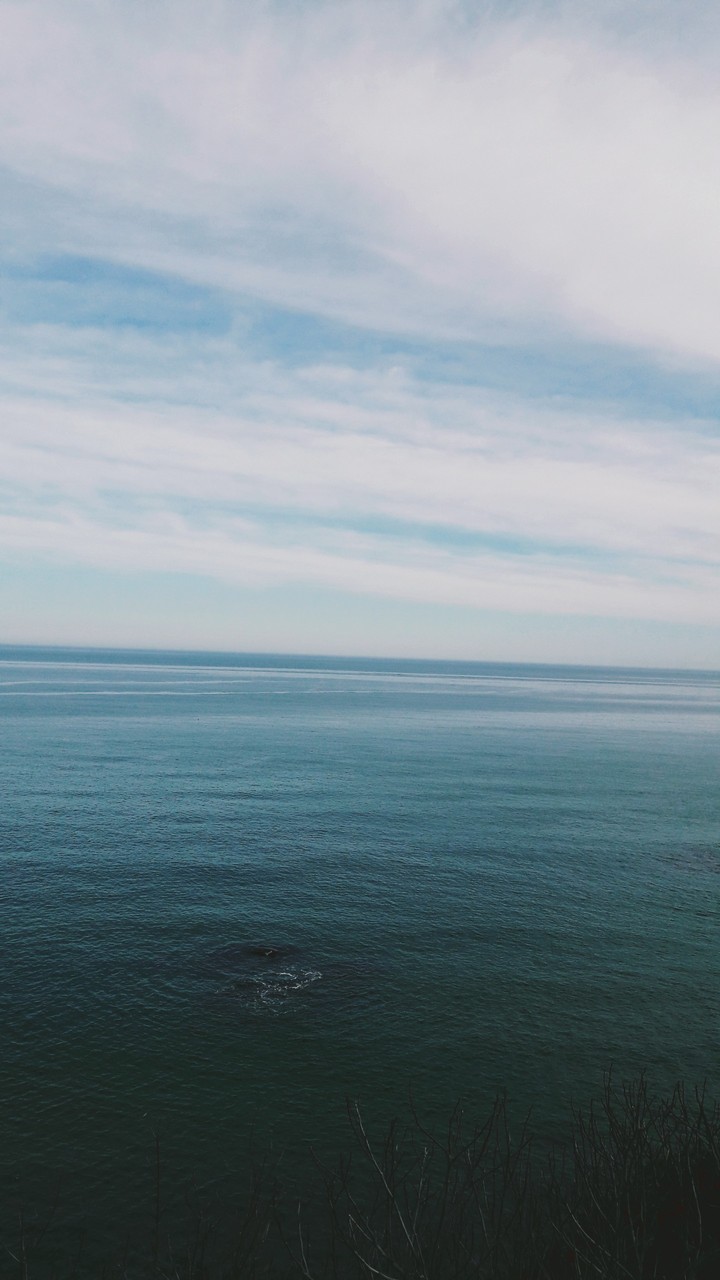 Sea