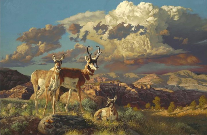 Paintings