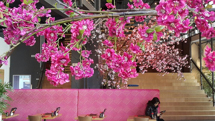 A beautiful Japanese restaurant in Amsterdam.