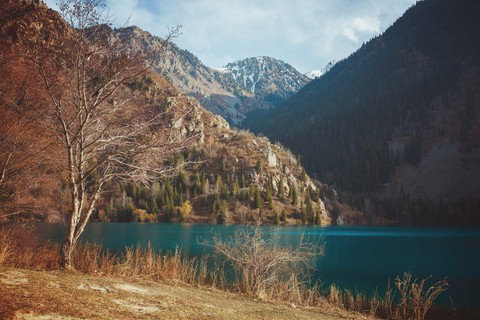 my planet