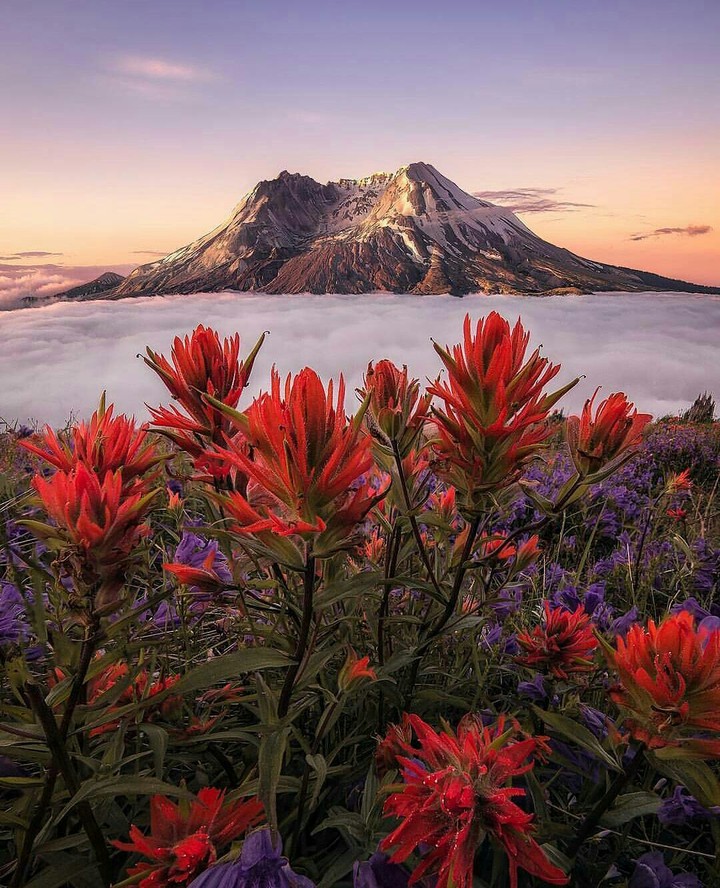 beautiful picture