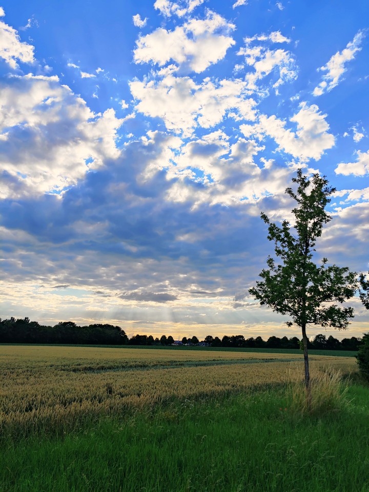 Evening walk