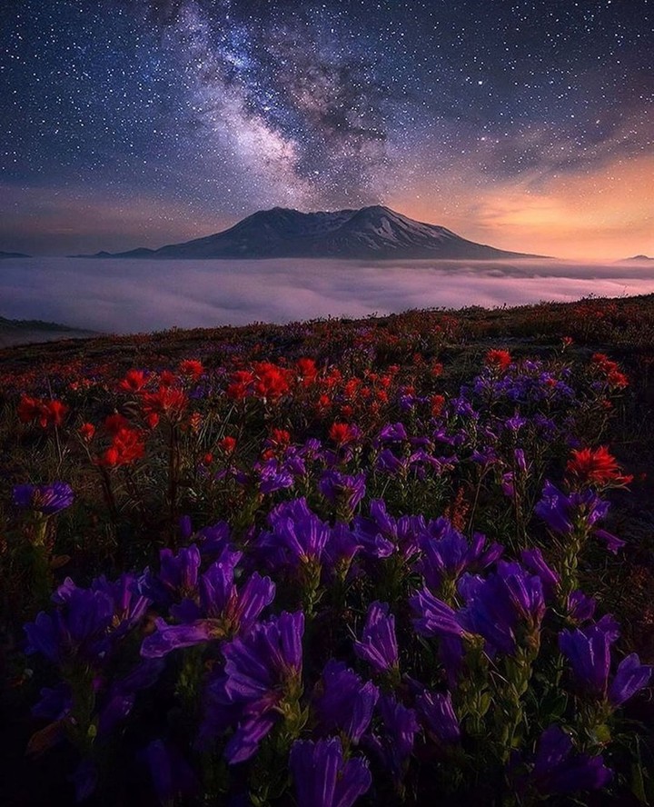 Beautiful Nature
