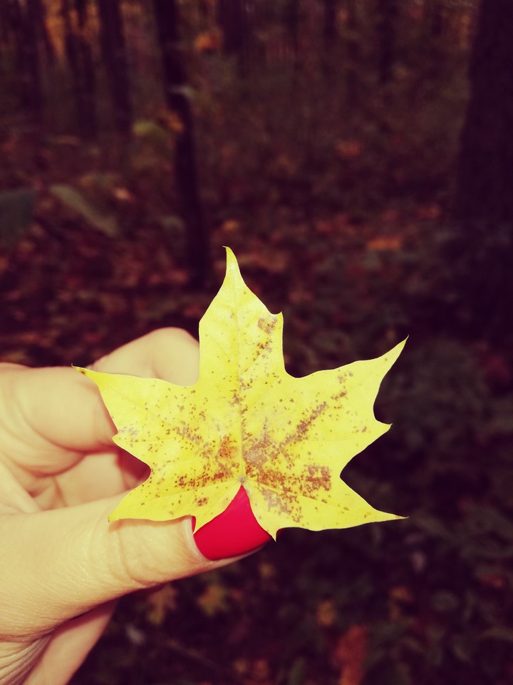Autumn