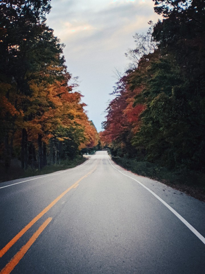 Fall Road